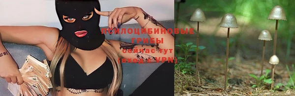 скорость Алзамай