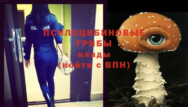 крисы Сатка