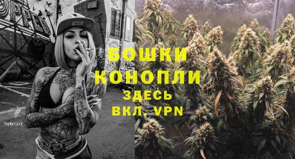 крисы Сатка