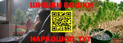 прущие грибы Ангарск