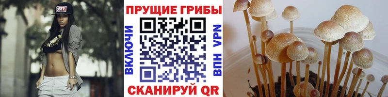 маркетплейс какой сайт  даркнет сайт  Невинномысск  Псилоцибиновые грибы прущие грибы 